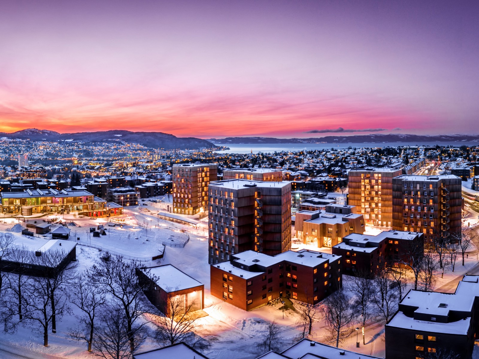 Oversiktsfoto av Moholt