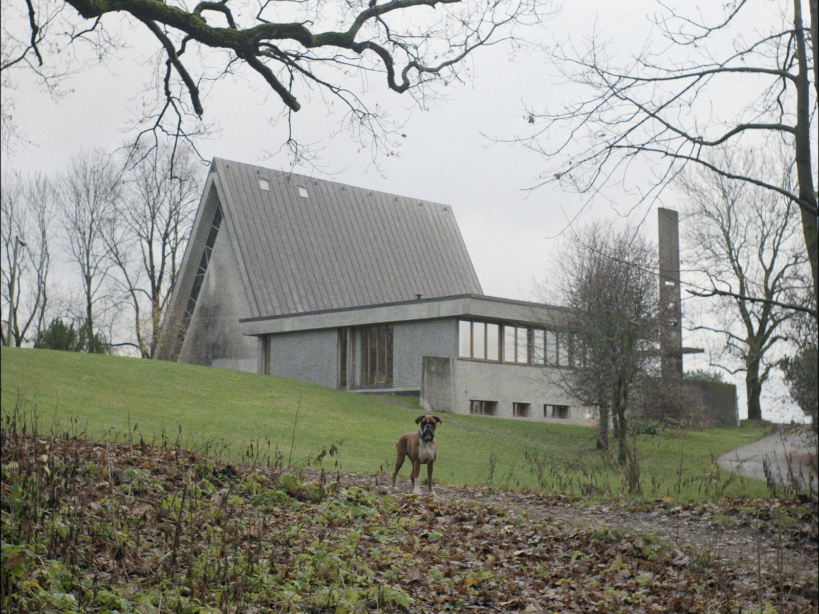 Foto av Bakkehaugen kirke, et trekantet betongbygg, hund i forgrunnen.