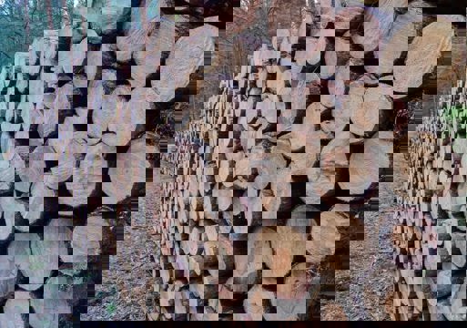 Tømmerstokker i en haug.