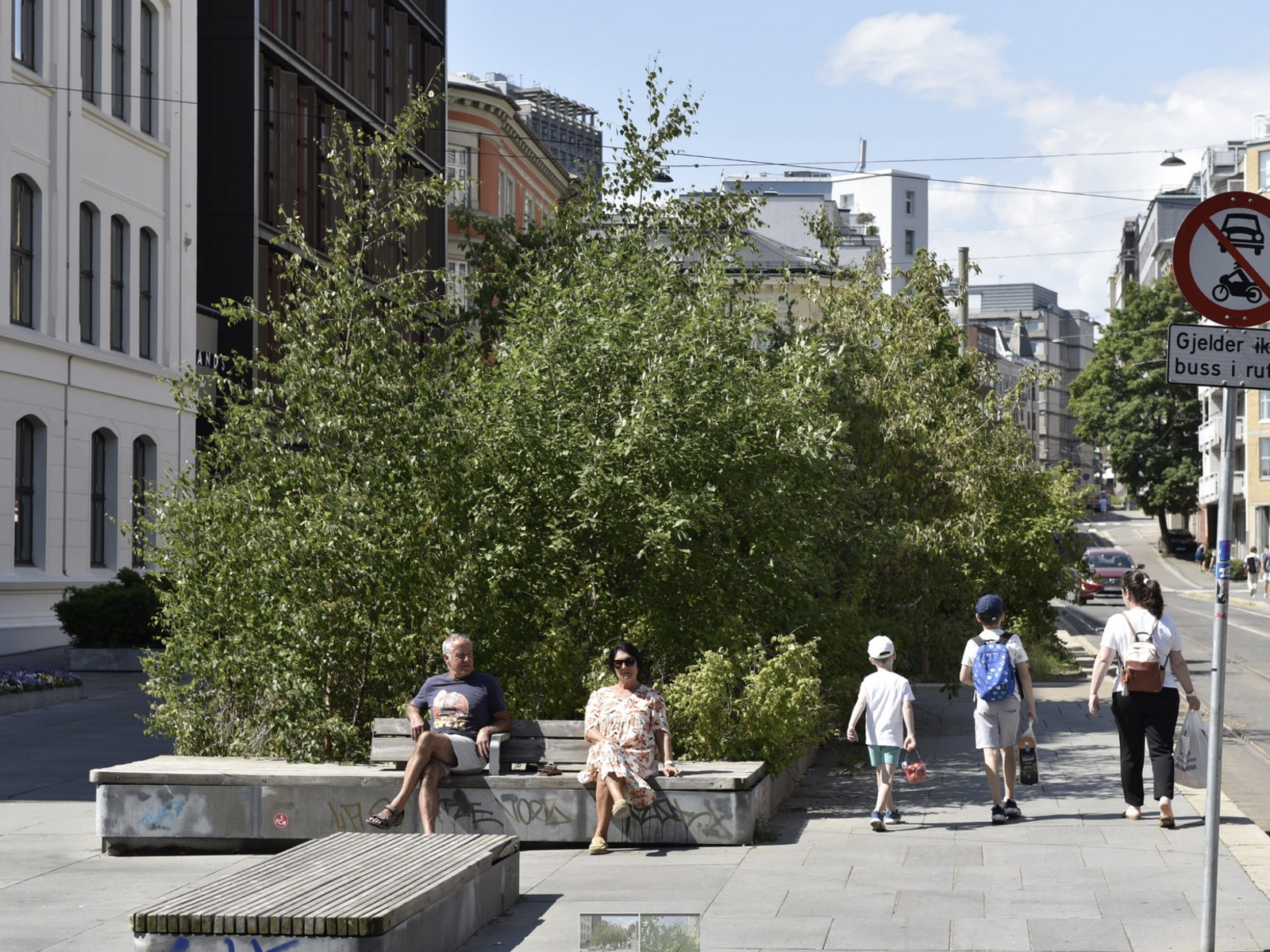Foto av Ruseløkkskogen