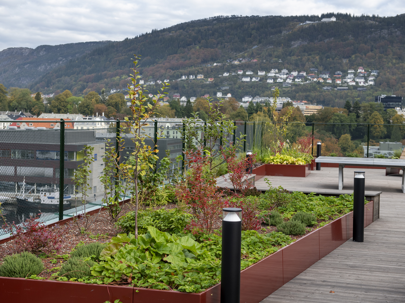 Takterrasse, kasser med grønt, utsikt til by. Foto.