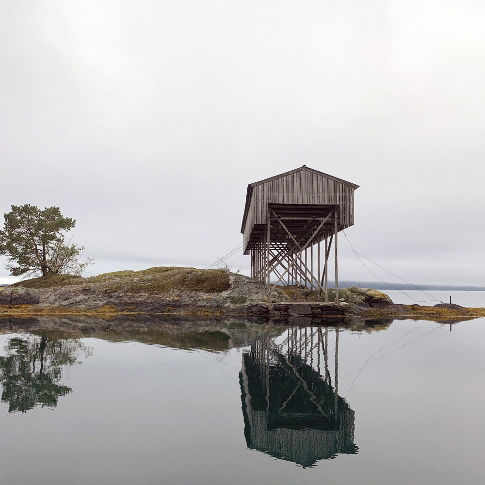 Notheng på en liten holme, vann rundt. Foto.