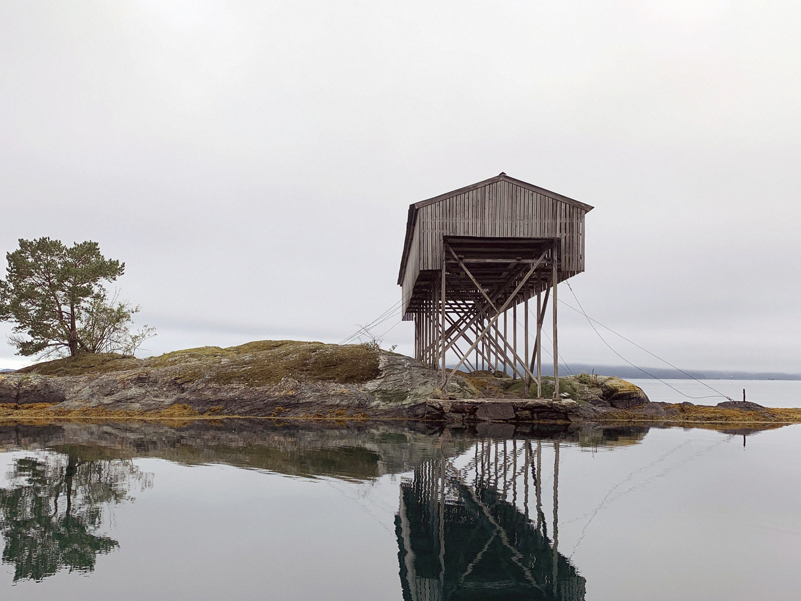 Notheng på en liten holme, vann rundt. Foto.
